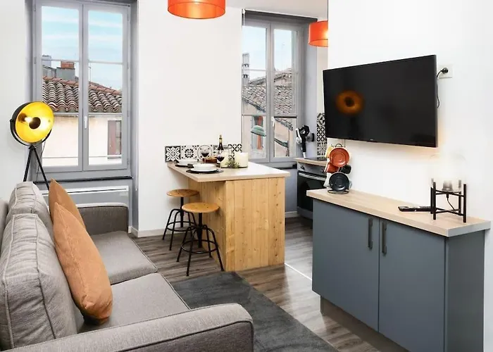 Apartment N2 Des Etudes Cosy Hypercentre Wifi Conciergeriedamecarcas